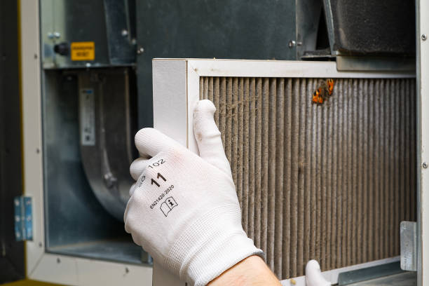 Best Affordable Duct Cleaning Services  in Governors Village, NC